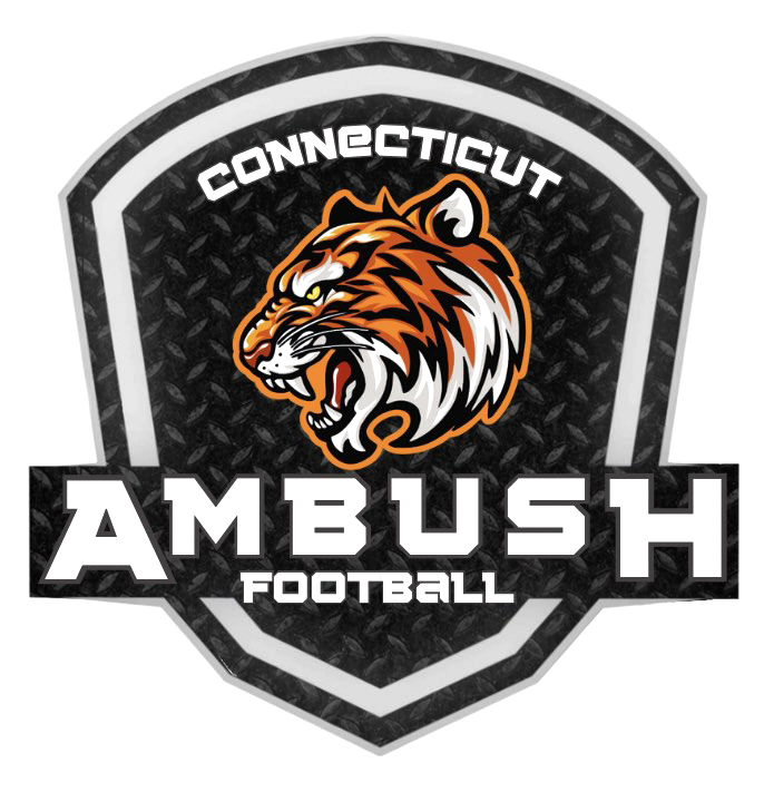 CONNECTICUT AMBUSH